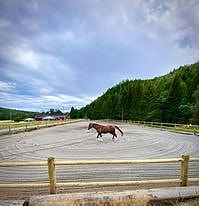 Product image 1 of 10