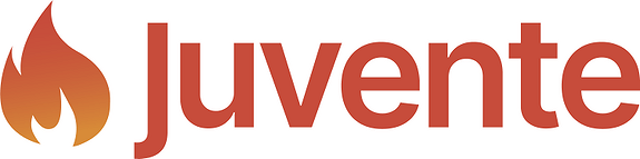 Juvente logo