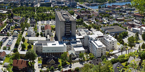 Bilde 1 av 2 i jobbannonse-galleriet