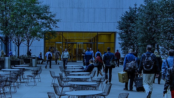 Bilde 7 av 9 i jobbannonse-galleriet