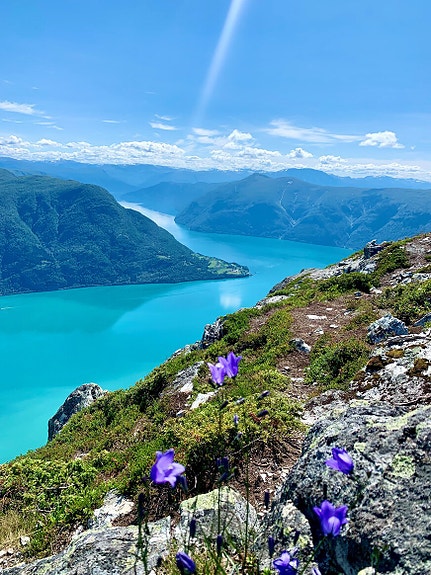 Bilde 3 av 3 i jobbannonse-galleriet