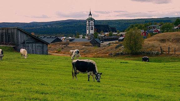 Bilde 1 av 5 i jobbannonse-galleriet