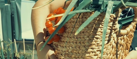 Egne grønnsaks-hager