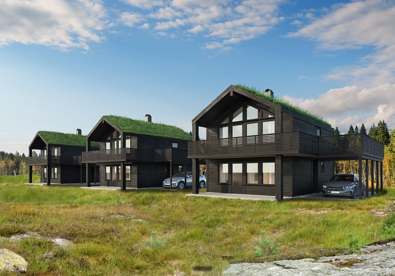 3 D tegning av hytte