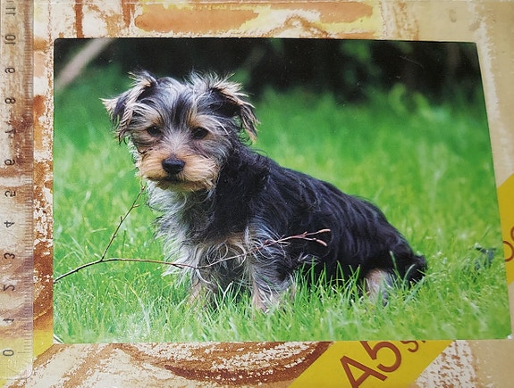 Product image 1 of 2