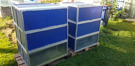 Akvarier gratis ca 150L ca mål 99 x 40 x40