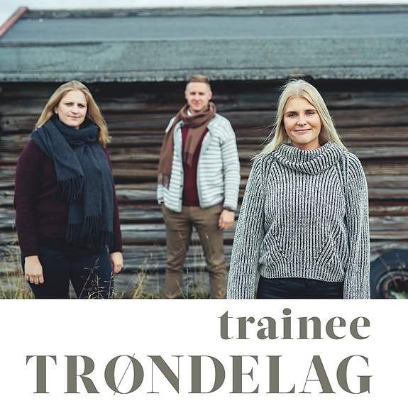 Bilde 4 av 6 i jobbannonse-galleriet