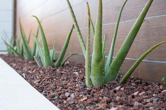 En megler med gode referanser - SPANIA1.no