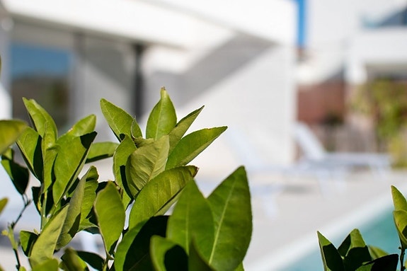 En megler med gode referanser - SPANIA1.no