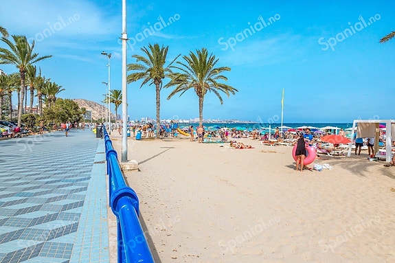 En megler med gode referanser -  SPANIA1.no