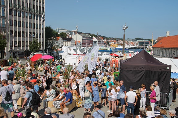 Bilde 1 av 3 i jobbannonse-galleriet