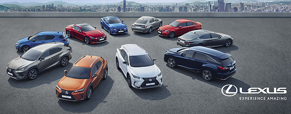 Bilde 4 av 12 i jobbannonse-galleriet