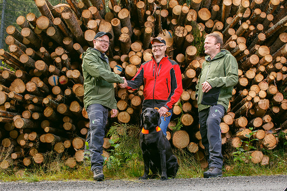 Bilde 1 av 4 i jobbannonse-galleriet