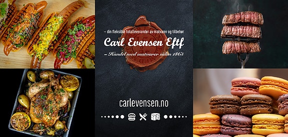 Bilde 1 av 4 i jobbannonse-galleriet