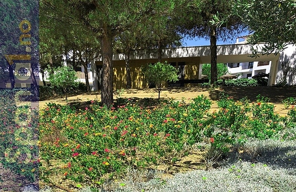 Felles grøntområder