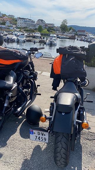 Harley-Davidson XL 883N IRON 6 of 14