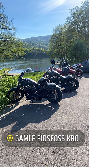 Harley-Davidson XL 883N IRON 5 of 14