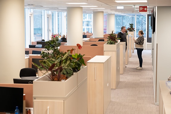 Bilde 3 av 3 i jobbannonse-galleriet