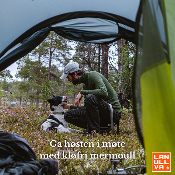 Bilde 4 av 5 i jobbannonse-galleriet