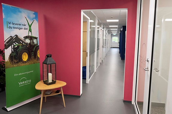 Bilde 8 av 10 i jobbannonse-galleriet