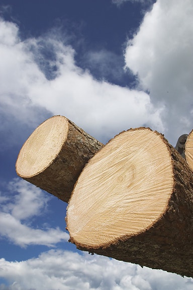 Bilde 3 av 5 i jobbannonse-galleriet