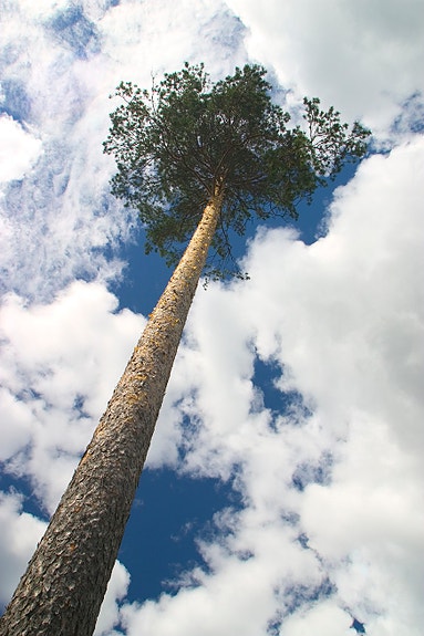 Bilde 2 av 5 i jobbannonse-galleriet