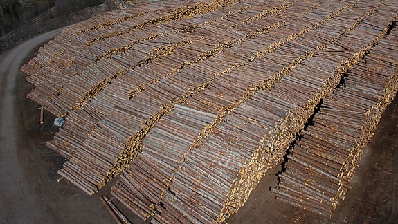 Bilde 4 av 5 i jobbannonse-galleriet