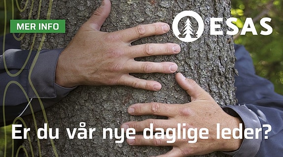 Bilde 1 av 5 i jobbannonse-galleriet