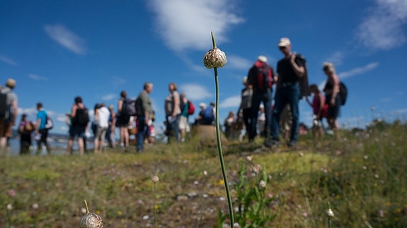 Bilde 3 av 17 i jobbannonse-galleriet