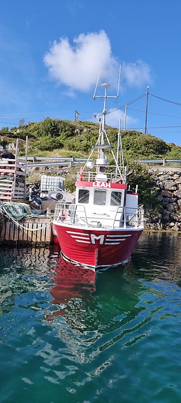 Grimsøy 34 4 of 5