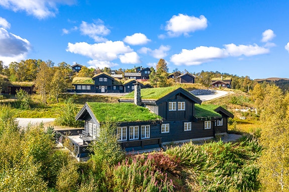 Velkommen til Steinebakken 60 - 624 meter over havet