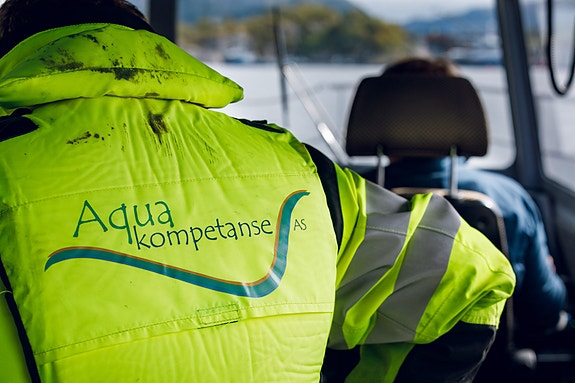 Bilde 4 av 4 i jobbannonse-galleriet