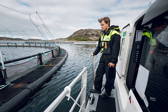 Bilde 2 av 4 i jobbannonse-galleriet