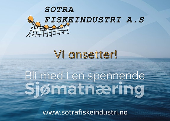 Bilde 1 av 4 i jobbannonse-galleriet
