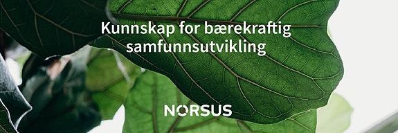 Bilde 2 av 2 i jobbannonse-galleriet