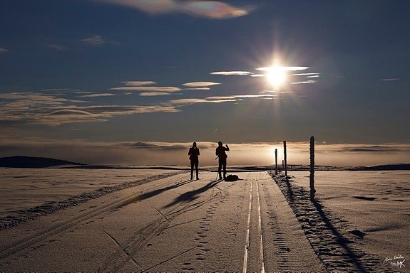 Cabby SKI IN/OUT I HALLINGSKARVET SKISENTER, HOVET 18 of 30