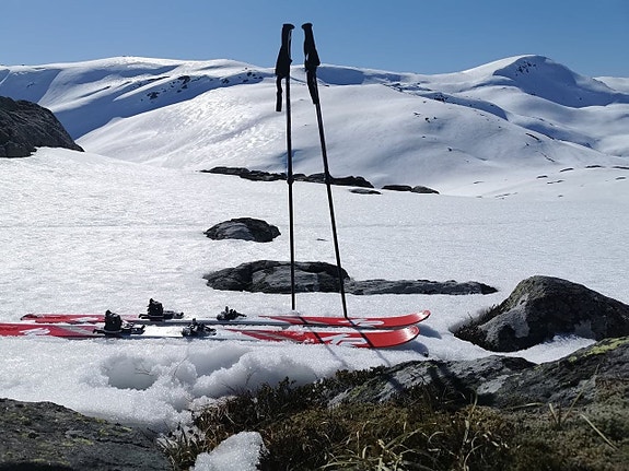 Cabby SKI IN/OUT I HALLINGSKARVET SKISENTER, HOVET 17 of 30