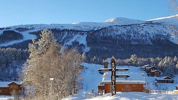 Cabby SKI IN/OUT I HALLINGSKARVET SKISENTER, HOVET 19 of 30