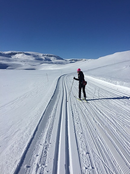 Cabby SKI IN/OUT I HALLINGSKARVET SKISENTER, HOVET 16 of 30
