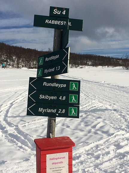 Cabby SKI IN/OUT I HALLINGSKARVET SKISENTER, HOVET 23 of 30