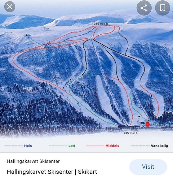 Cabby SKI IN/OUT I HALLINGSKARVET SKISENTER, HOVET 14 of 30