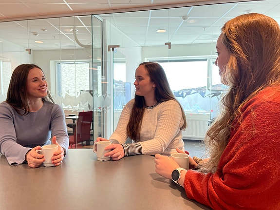 Bilde 6 av 12 i jobbannonse-galleriet