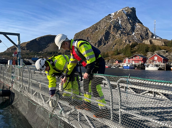 Bilde 7 av 12 i jobbannonse-galleriet