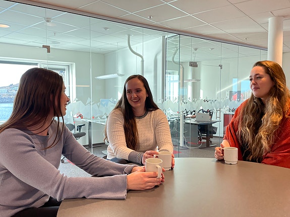 Bilde 5 av 10 i jobbannonse-galleriet