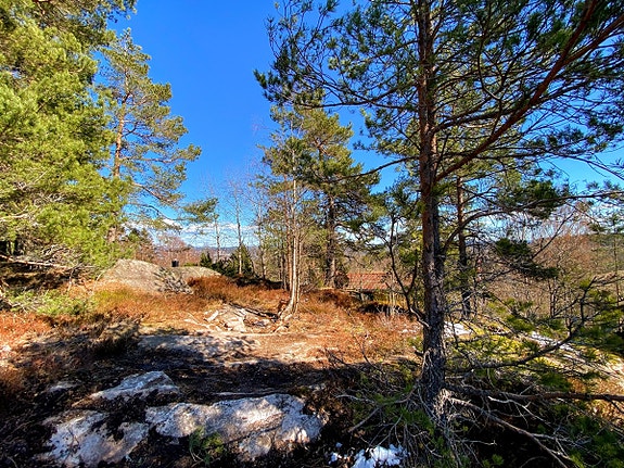 Drømmer du om rimelig fritidsbolig med kort kjøreavstand hjemmefra? På Storsand i Hurum kan drømmen gå i oppfyllelse!