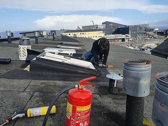 Bilde 8 av 9 i jobbannonse-galleriet