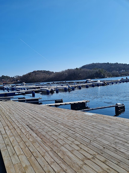 Skjærgården Marina/Skogsøy/Mandal - Båtplasser til leie/salgs 9 of 17