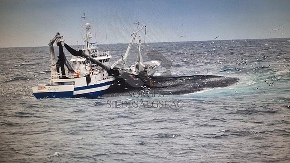 Bilde 3 av 3 i jobbannonse-galleriet