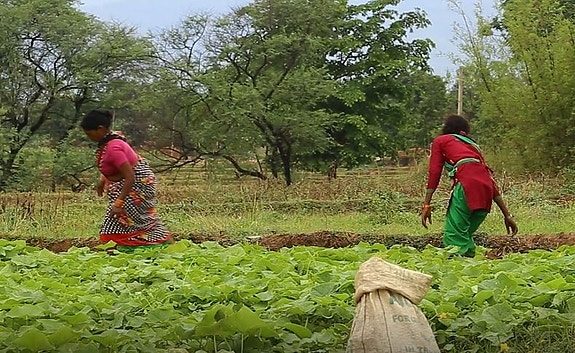 Bilde 2 av 2 i jobbannonse-galleriet