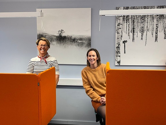 Bilde 1 av 1 i jobbannonse-galleriet